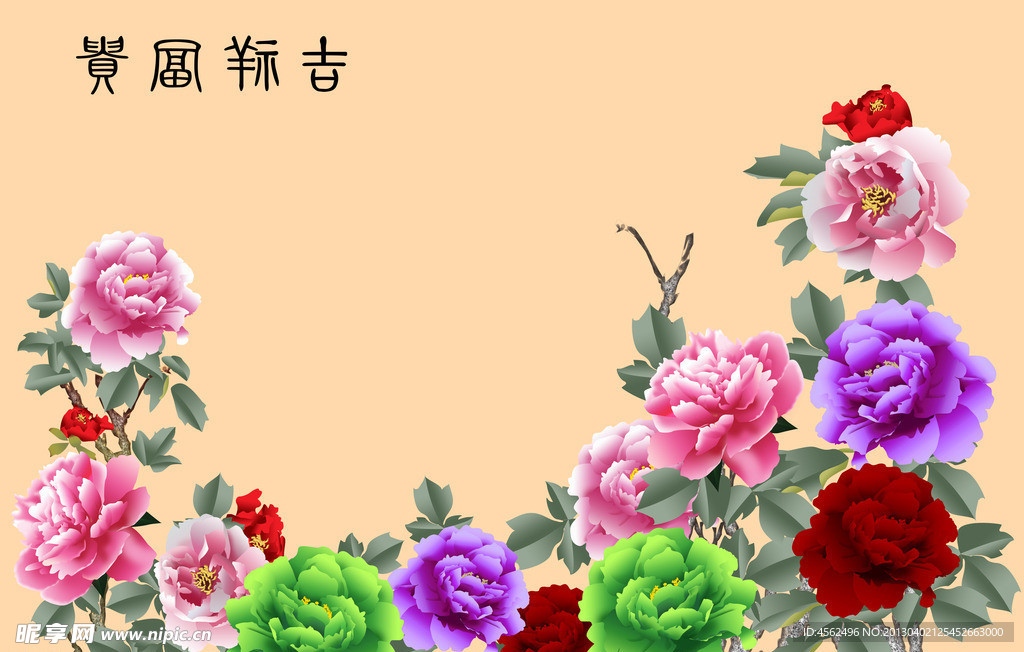 牡丹