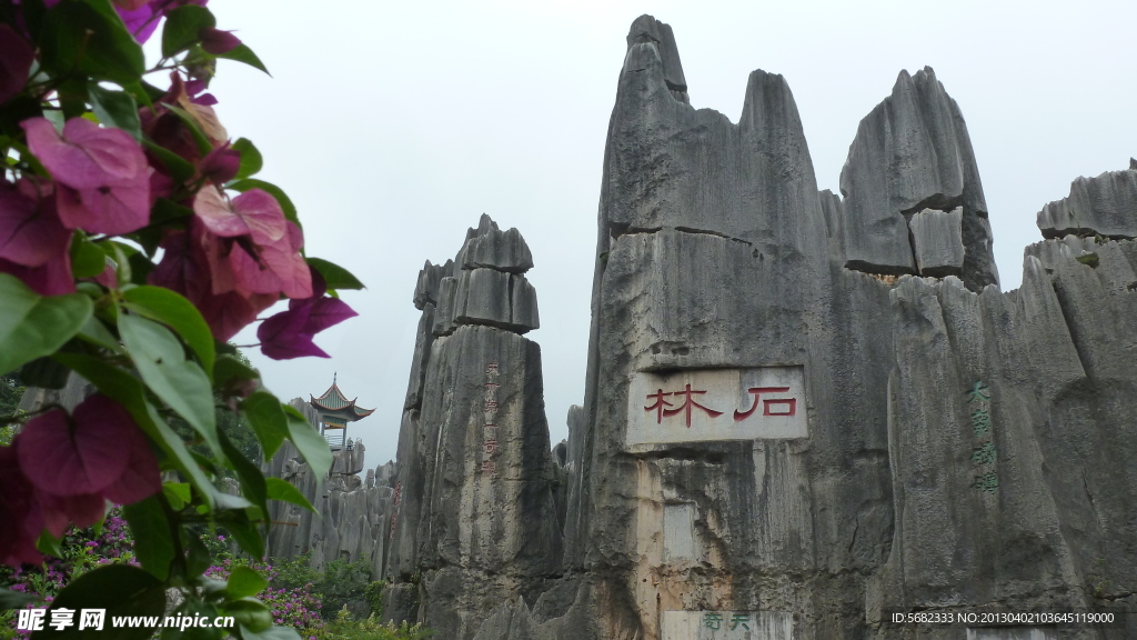 石林