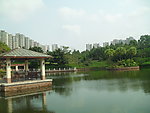 城市风景