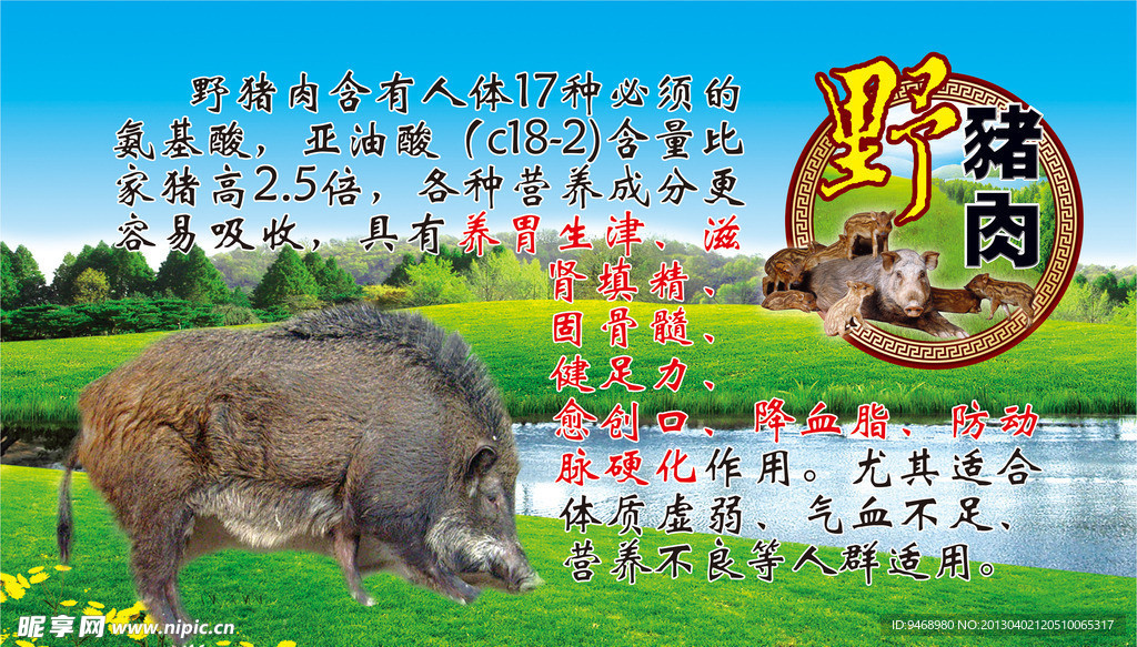 野猪 猪肉 黑猪