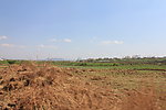 田野风光