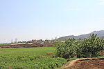 田野风光