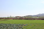 田野风光