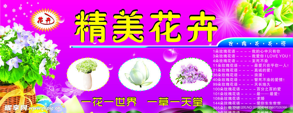 花卉 精美花卉