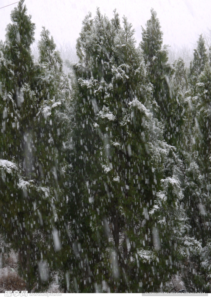 雪花