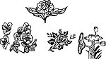 花 花纹