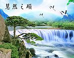 迎客松