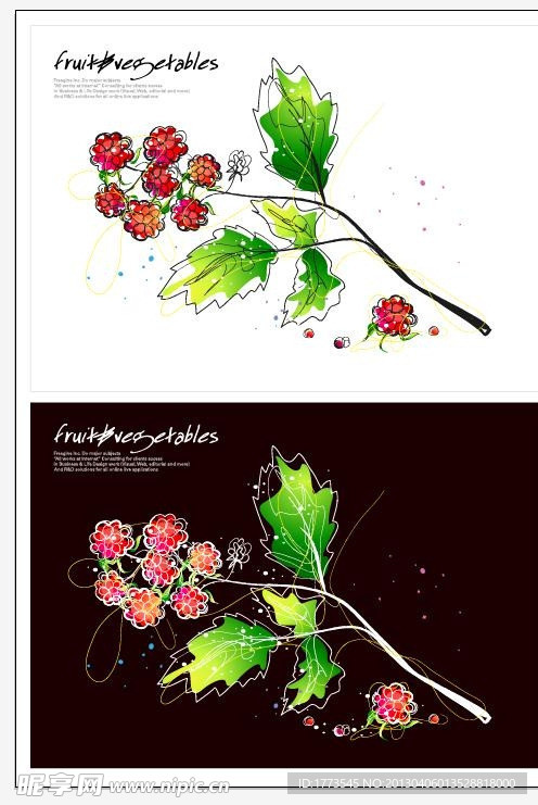 手绘果蔬