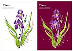 手绘花卉 花卉 矢量