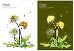 手绘花卉