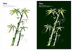 手绘植物