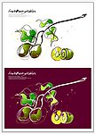 手绘果蔬 矢量花纹