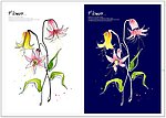 手绘花卉