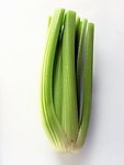芹菜