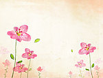 动感花纹
