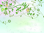 动感花纹