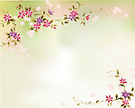 动感花纹