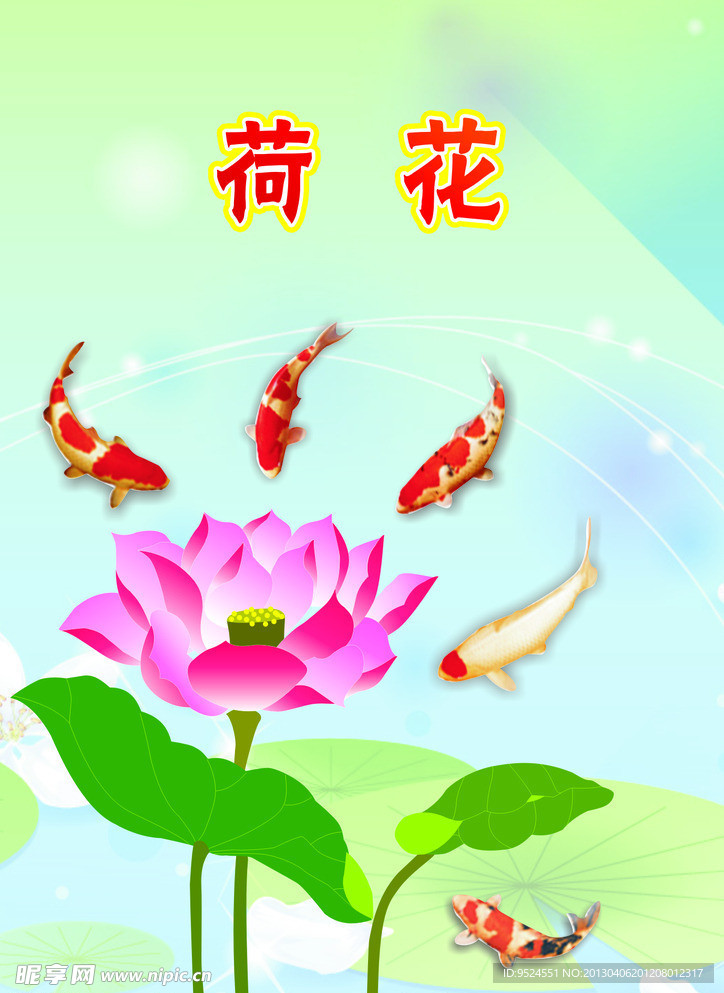 荷花