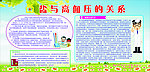 健康教育宣传栏