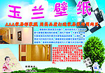 玉兰壁纸宣传单
