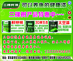 三棵树