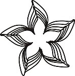 花纹
