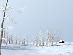 雪景