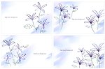 时尚花纹