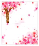 时尚花纹