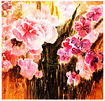 水彩鲜花