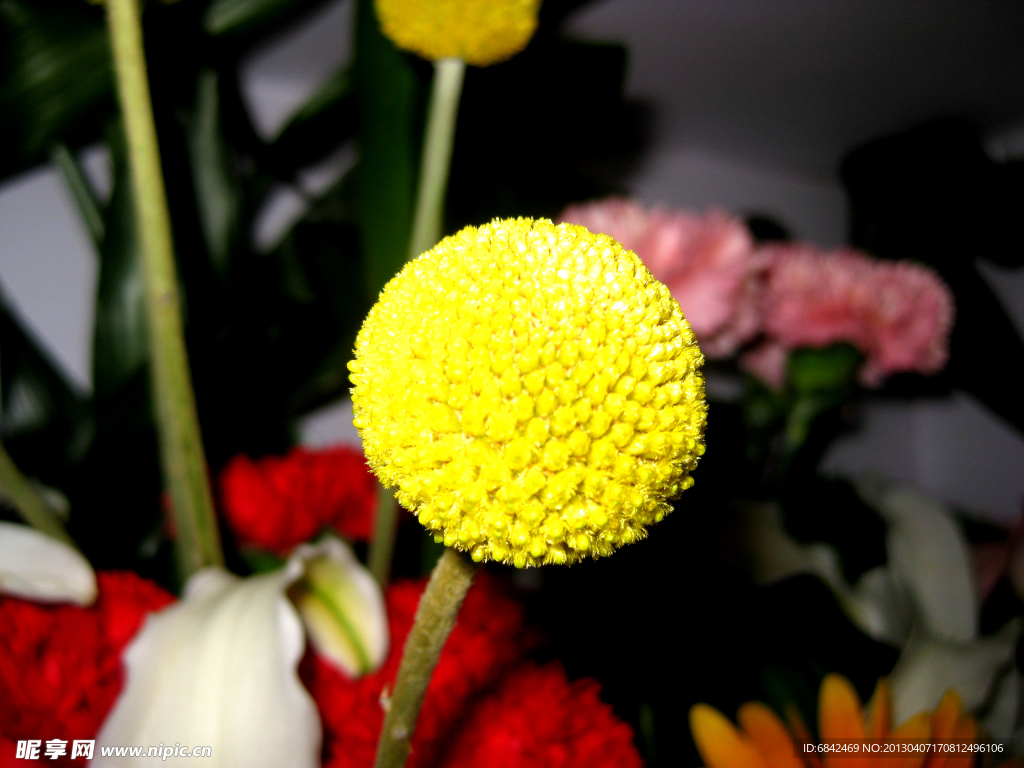 花蕊