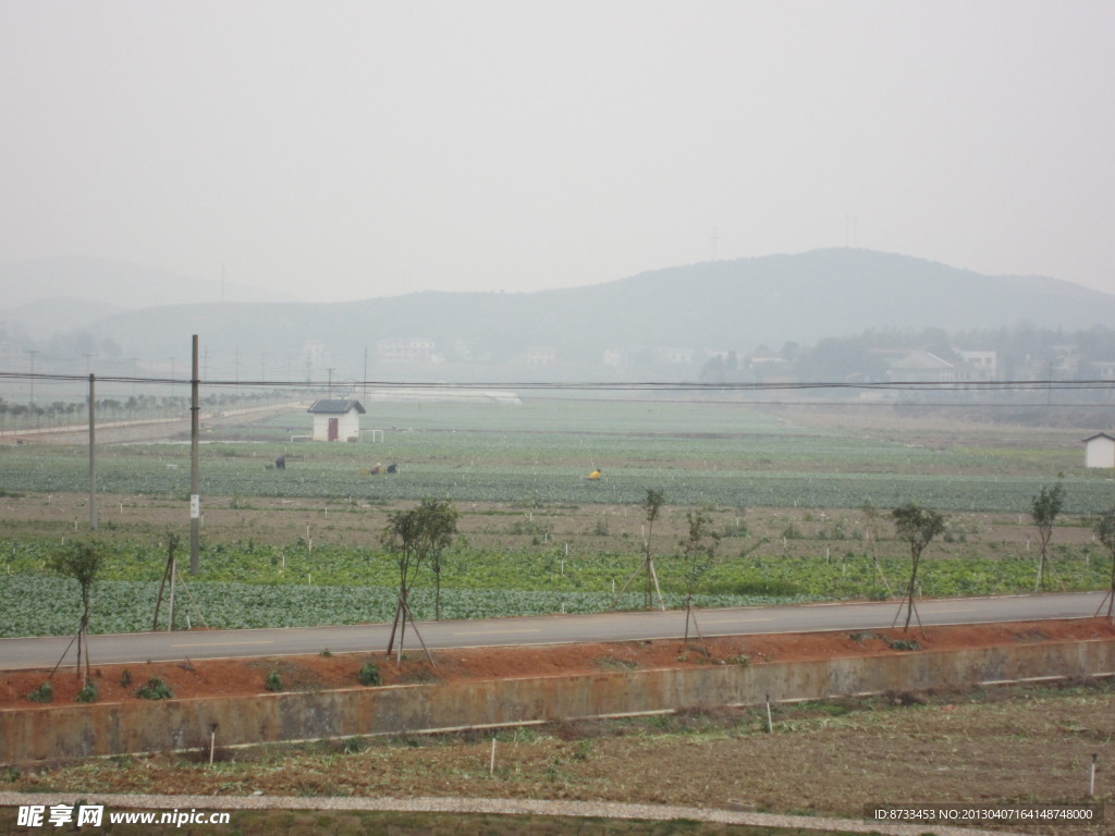 蔬菜基地