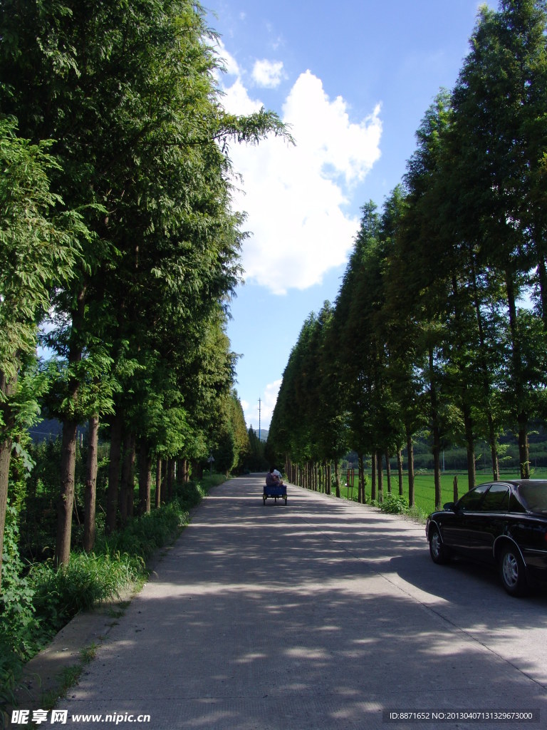 乡间公路