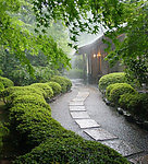 小路风景