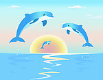 海豚