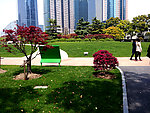 绿色草地