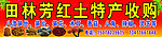 田林芳红土特产收购