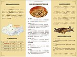 虫草三折页背面设计