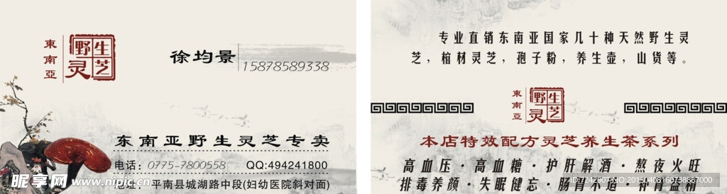 东南亚灵芝名片