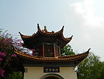 掩映金碧