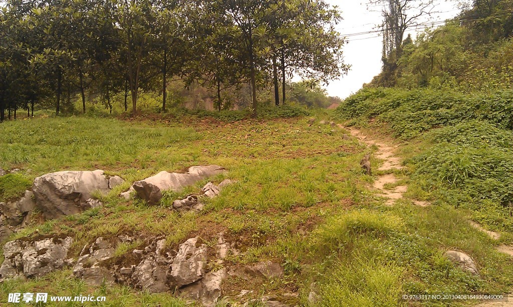 乡间小路