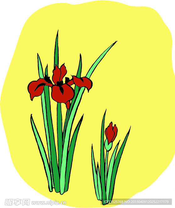 花卉