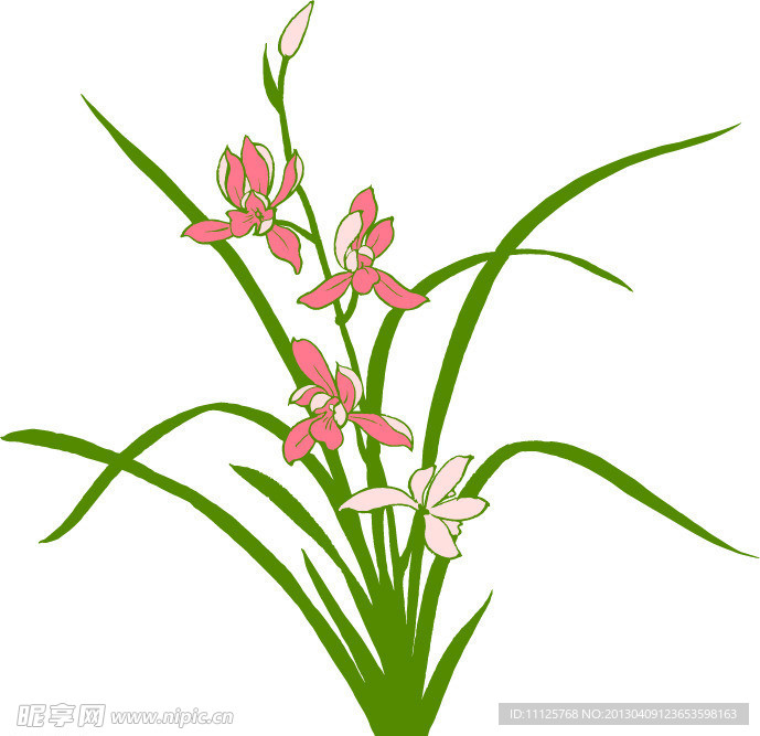 花卉