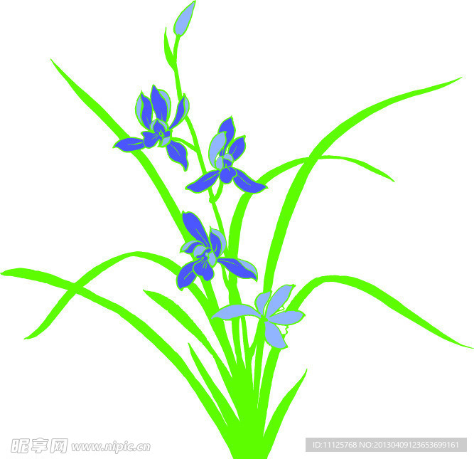 花卉