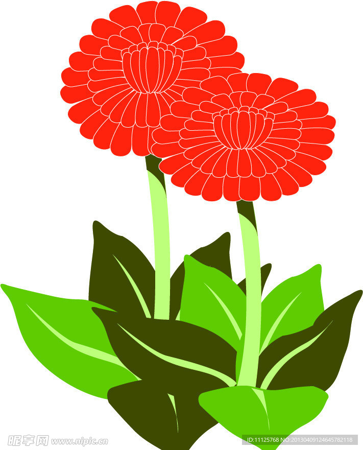 花卉