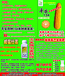种子宣传单