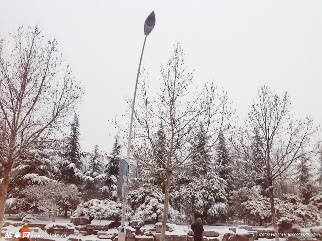 雪景
