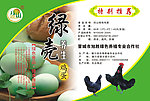 绿壳鸡蛋标签