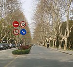 道路