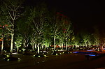 重庆幸福广场夜景
